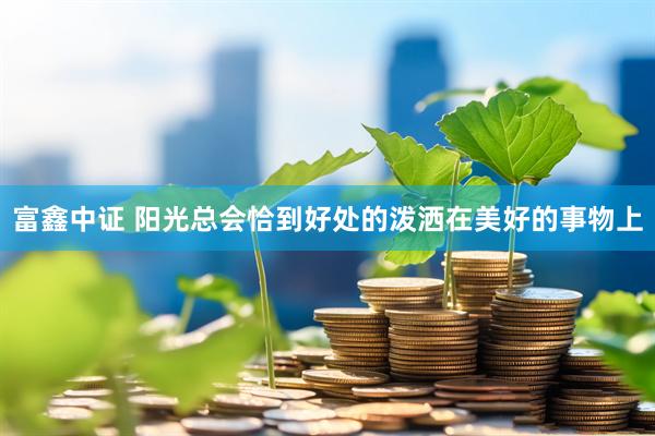 富鑫中证 阳光总会恰到好处的泼洒在美好的事物上