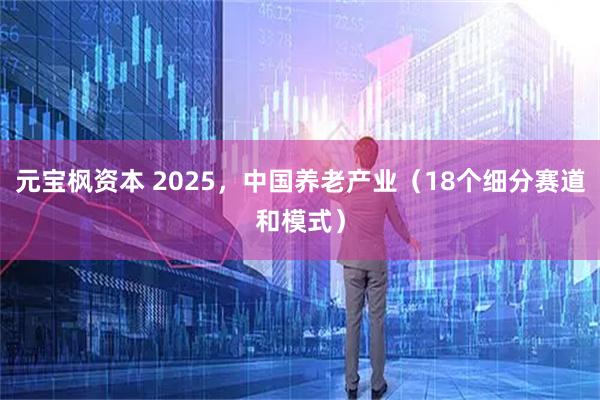 元宝枫资本 2025，中国养老产业（18个细分赛道和模式）